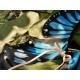 Yolanda Fleurs Avec Isabella Butterfly Collar and Hair Clips(Leftovers/7 Colours)